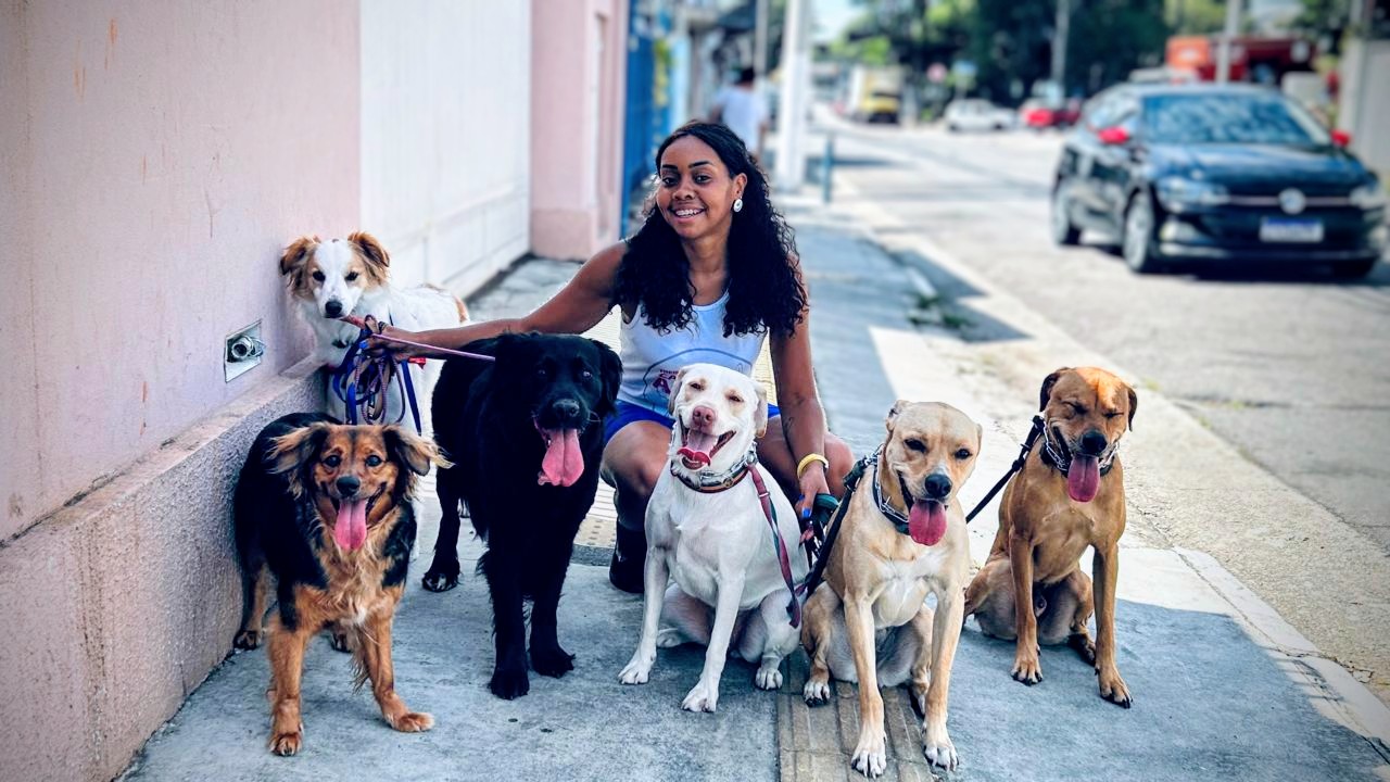 Adestramento canino
