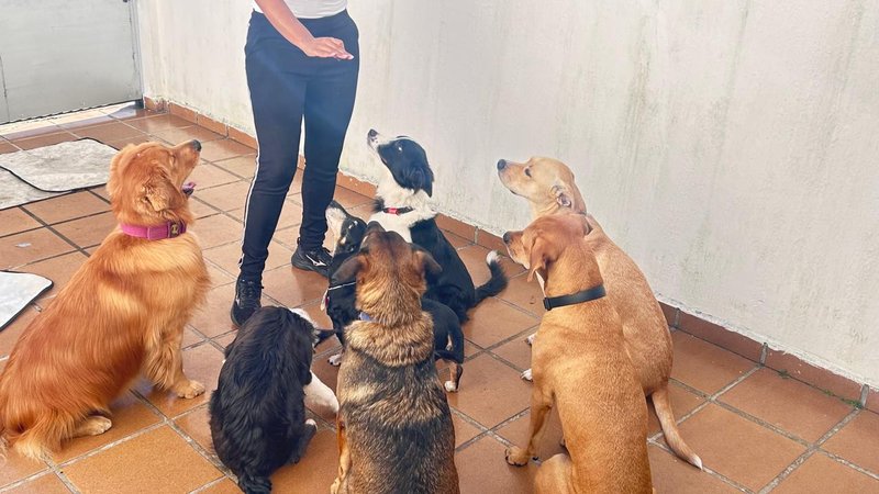 Treino em grupo