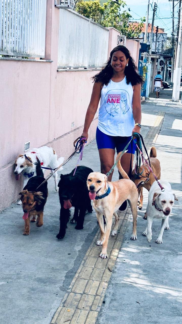 Ane passeando com vários cães