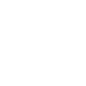 Ane Treinamento Canino