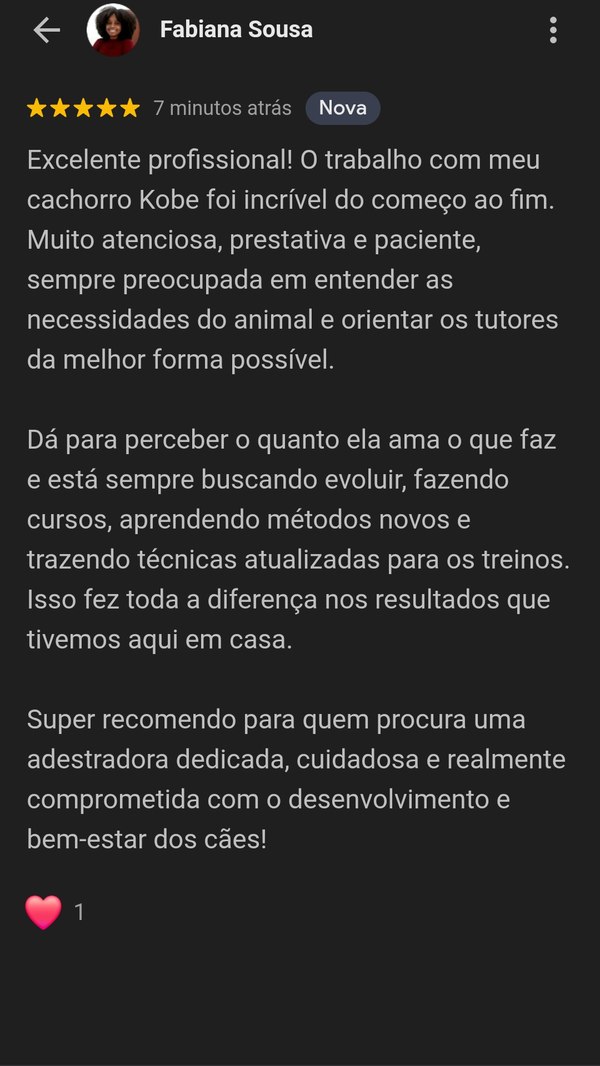 Avaliação Google - Fabiana Sousa